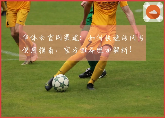 华体会官网渠道：如何快速访问与使用指南，官方推荐理由解析！